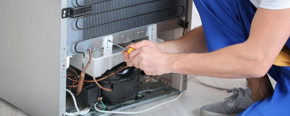 slide-trang-chu-anh-5