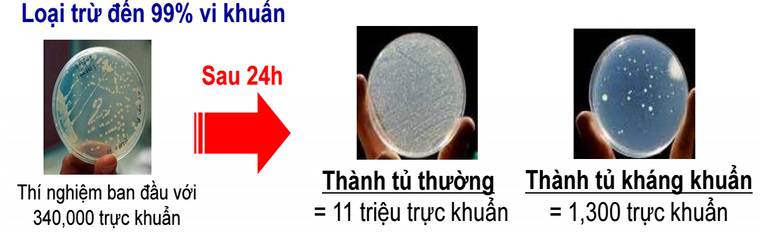 congnghekhangkhuankhumuitrentulanhmitsubishielectric5